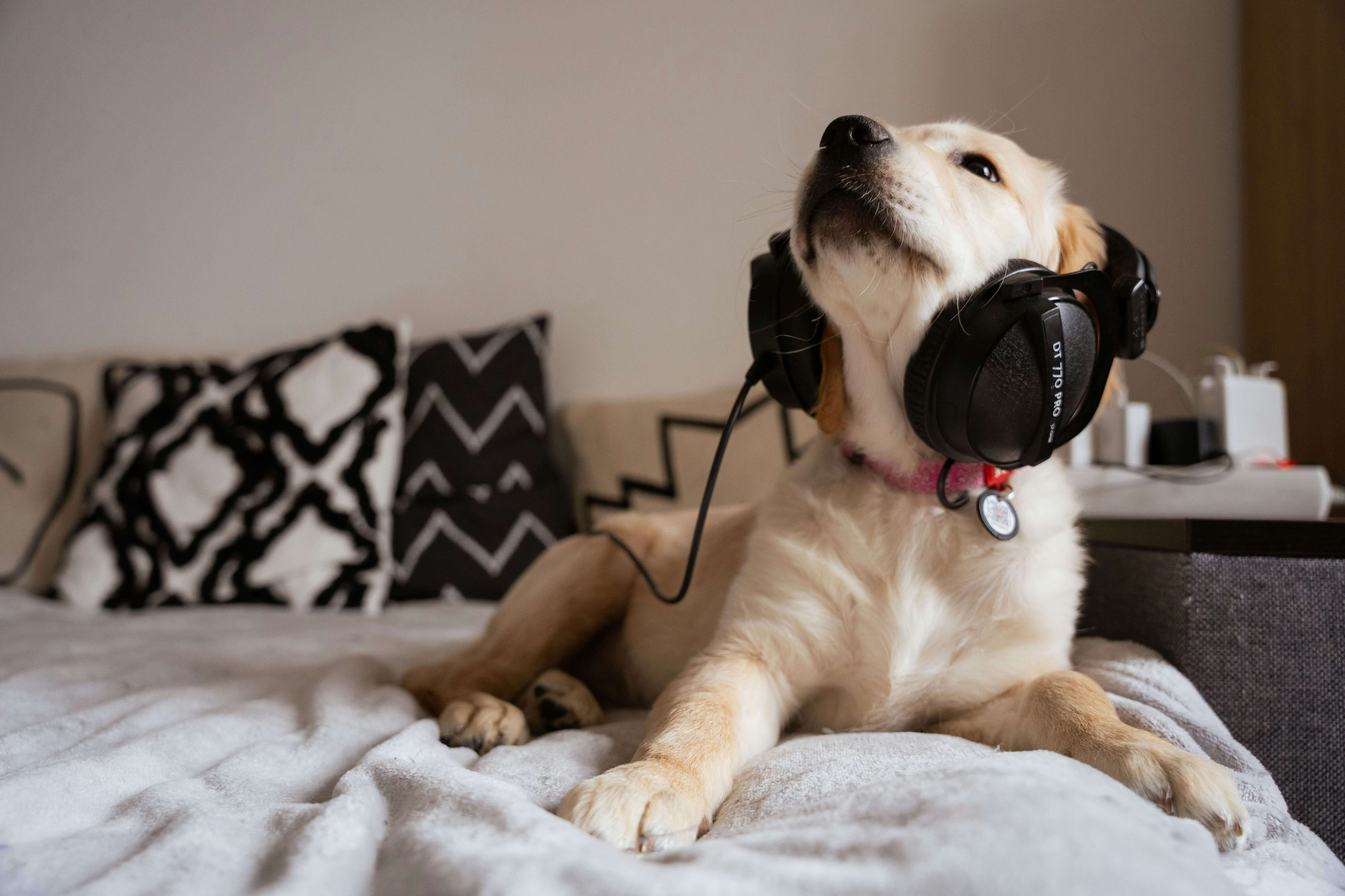 Sách phi hư cấu có thực sự phù hợp với định dạng sách nói
